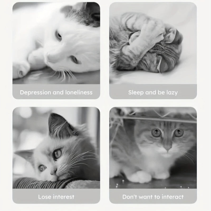 צעצוע אינטראקטיבי לכלב ולחתול – עמיד, מסתיר מזון ומנקה שיניים
